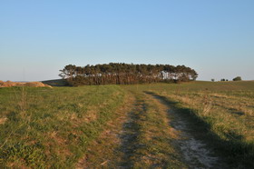 DSC94362